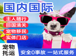 涟水机场快运国际宠物托运 【国